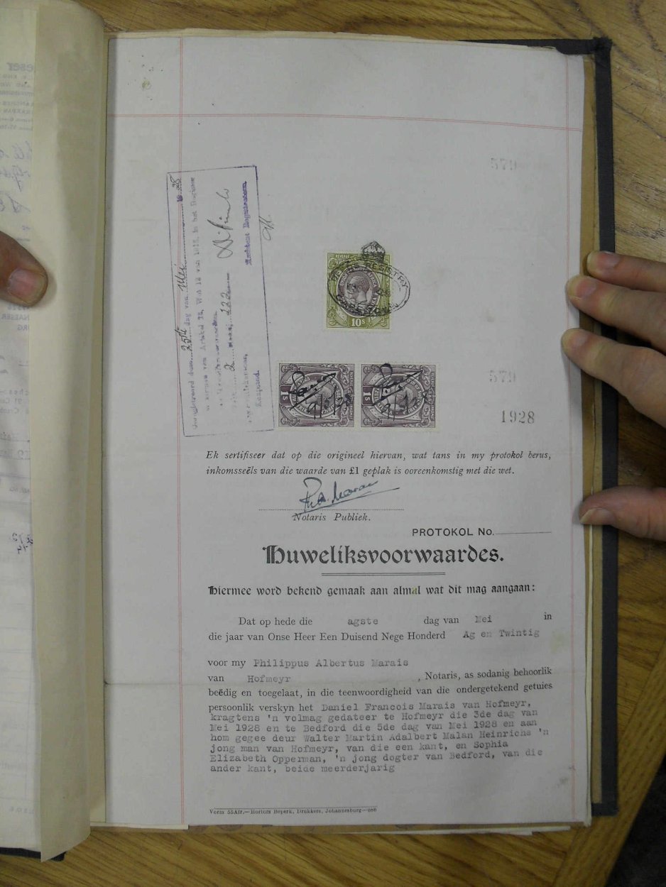 SDC11744 SDC11744