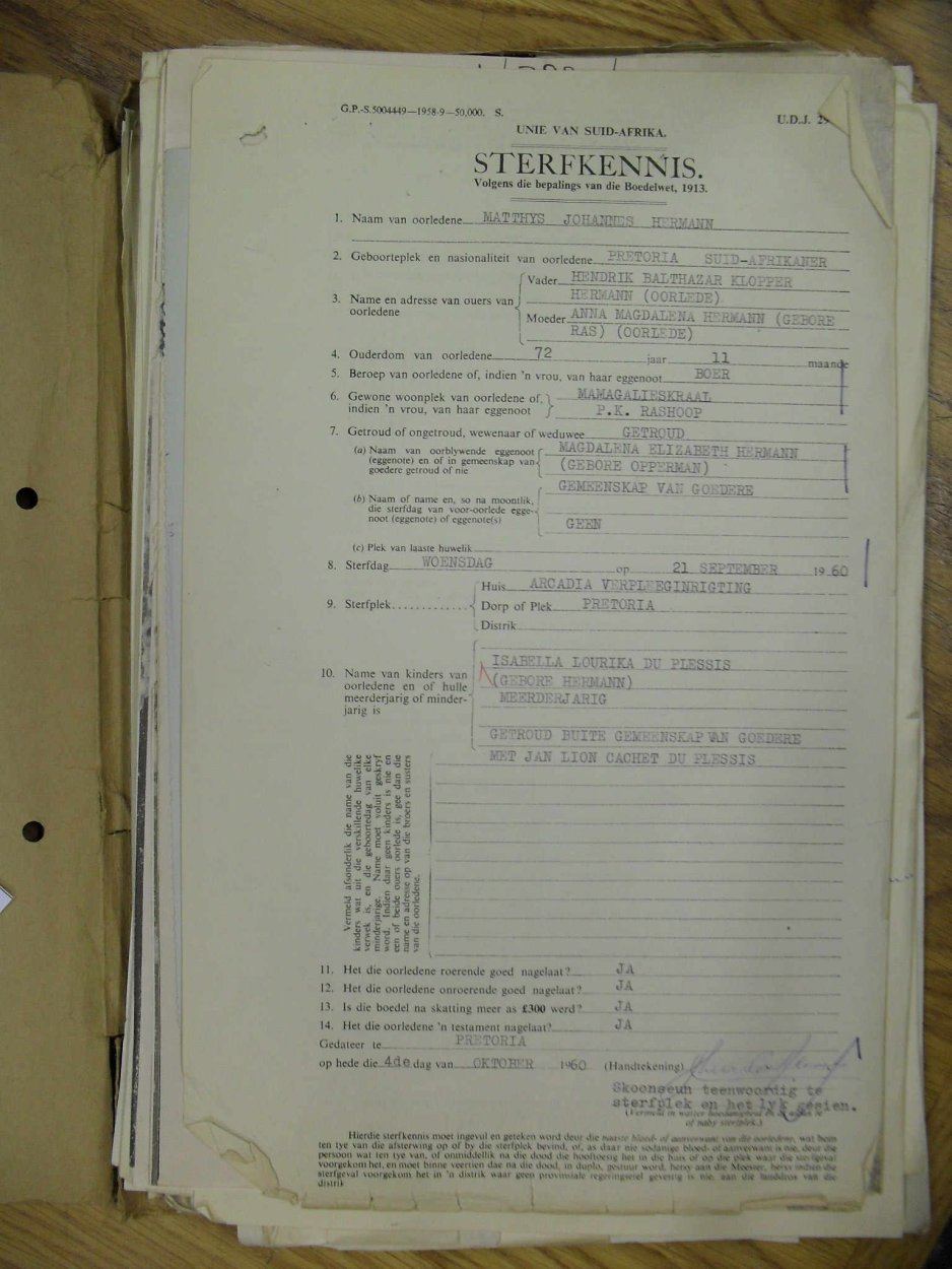 SDC13391 SDC13391
