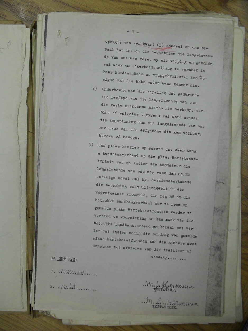 SDC13395 SDC13395