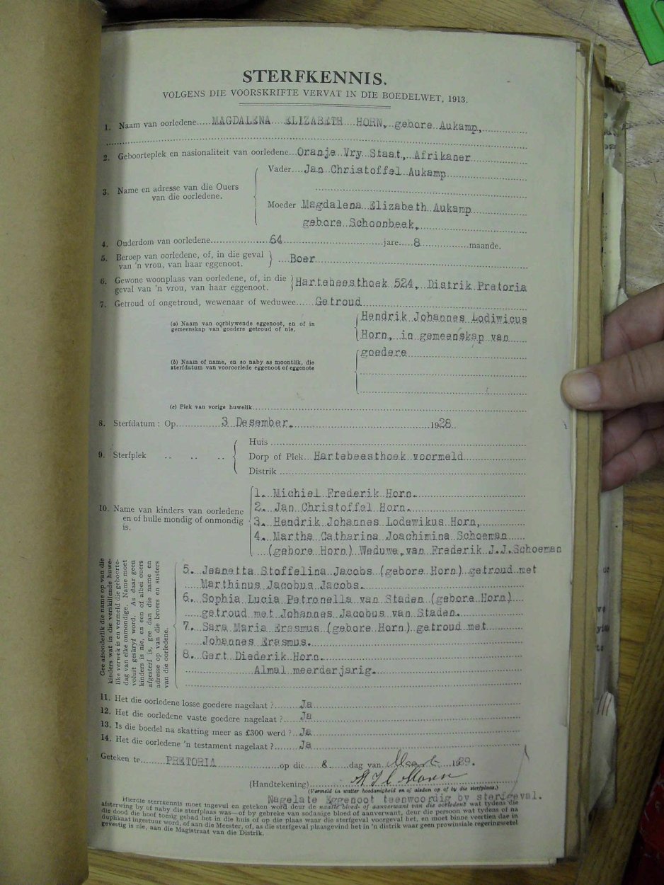 SDC10685 SDC10685