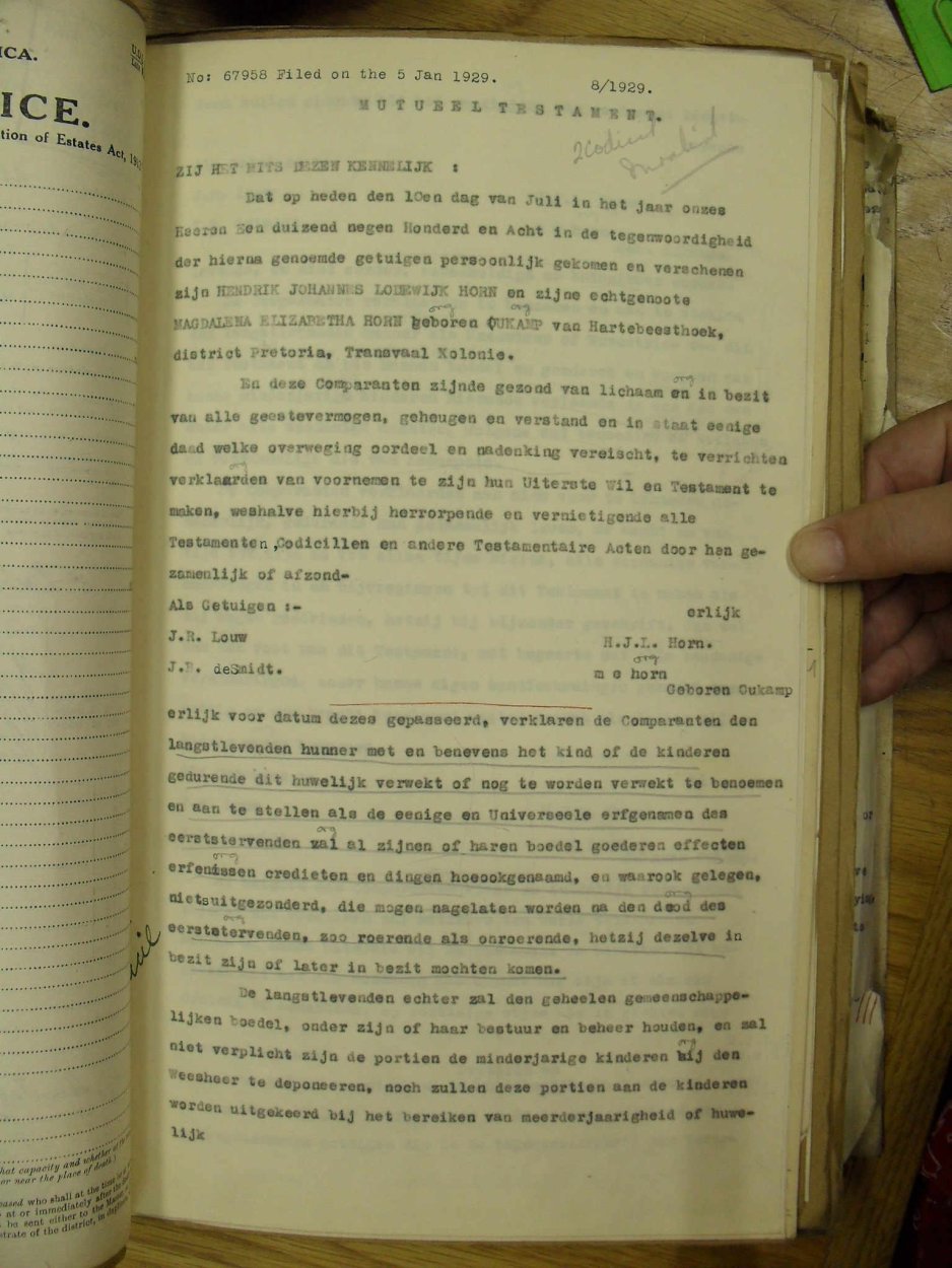 SDC10687 SDC10687