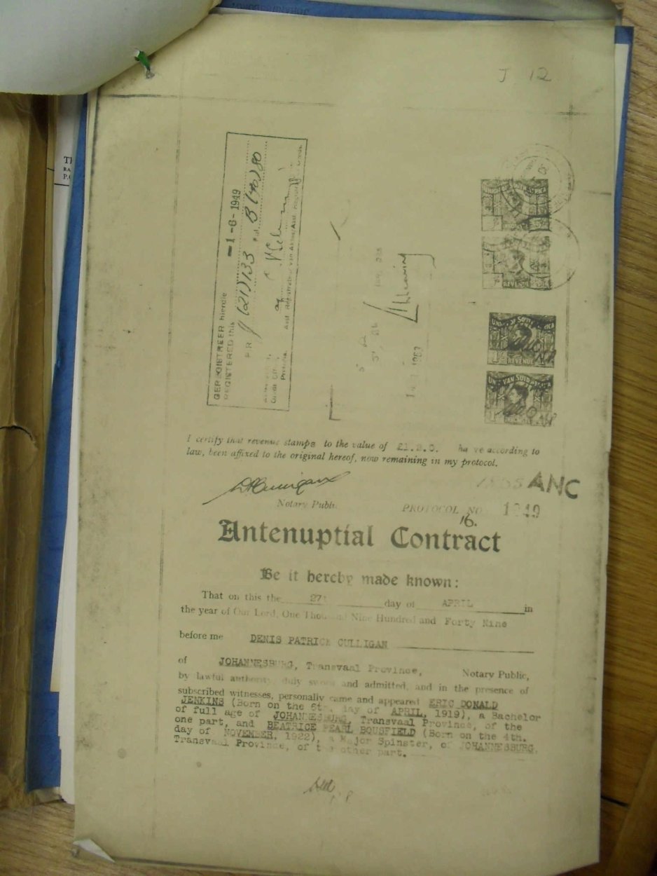 SDC19386 SDC19386