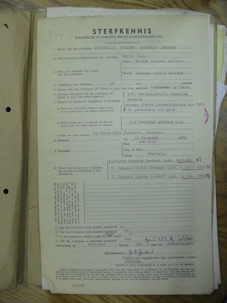 SDC13407 SDC13407