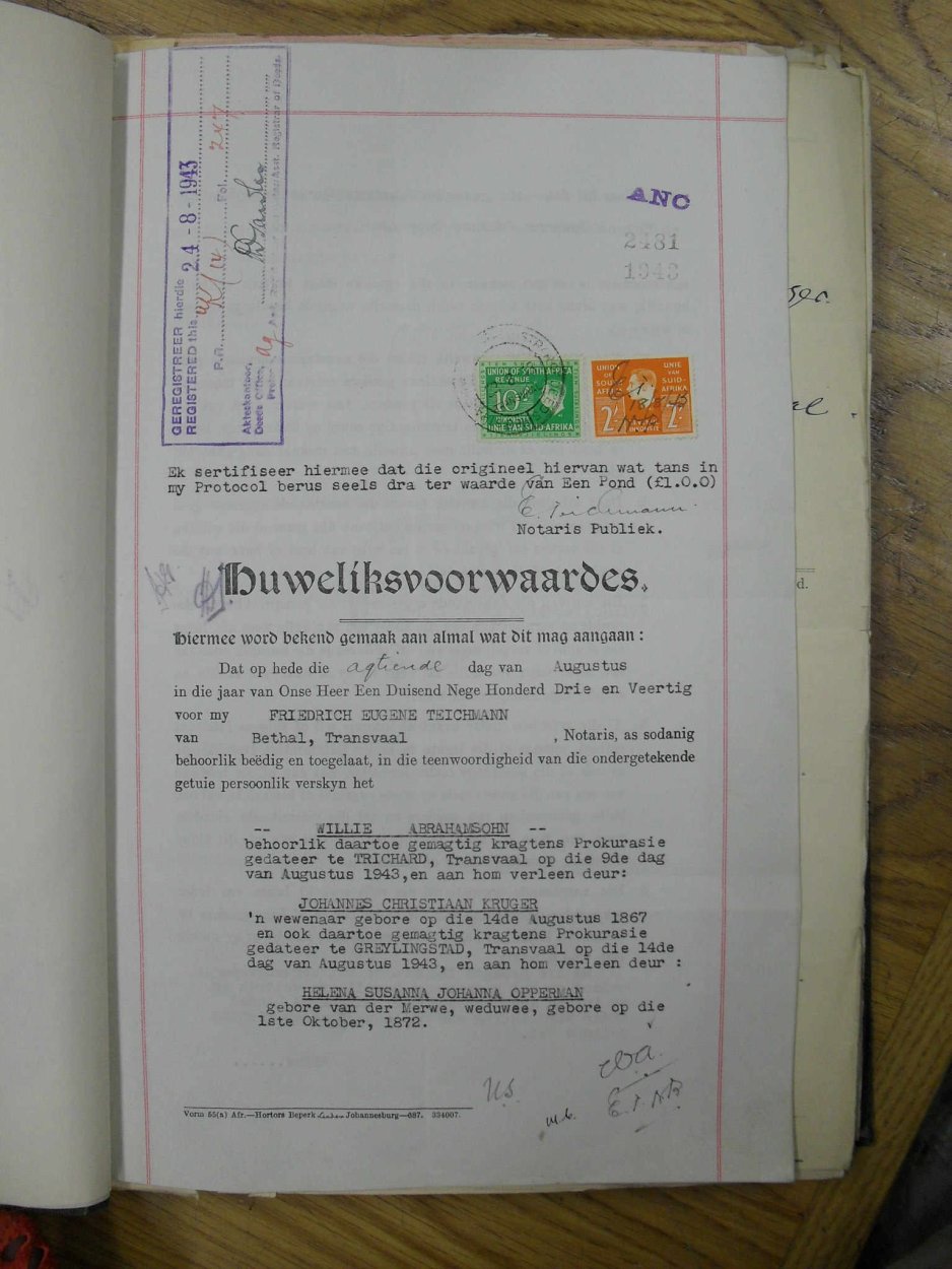 SDC11565 SDC11565
