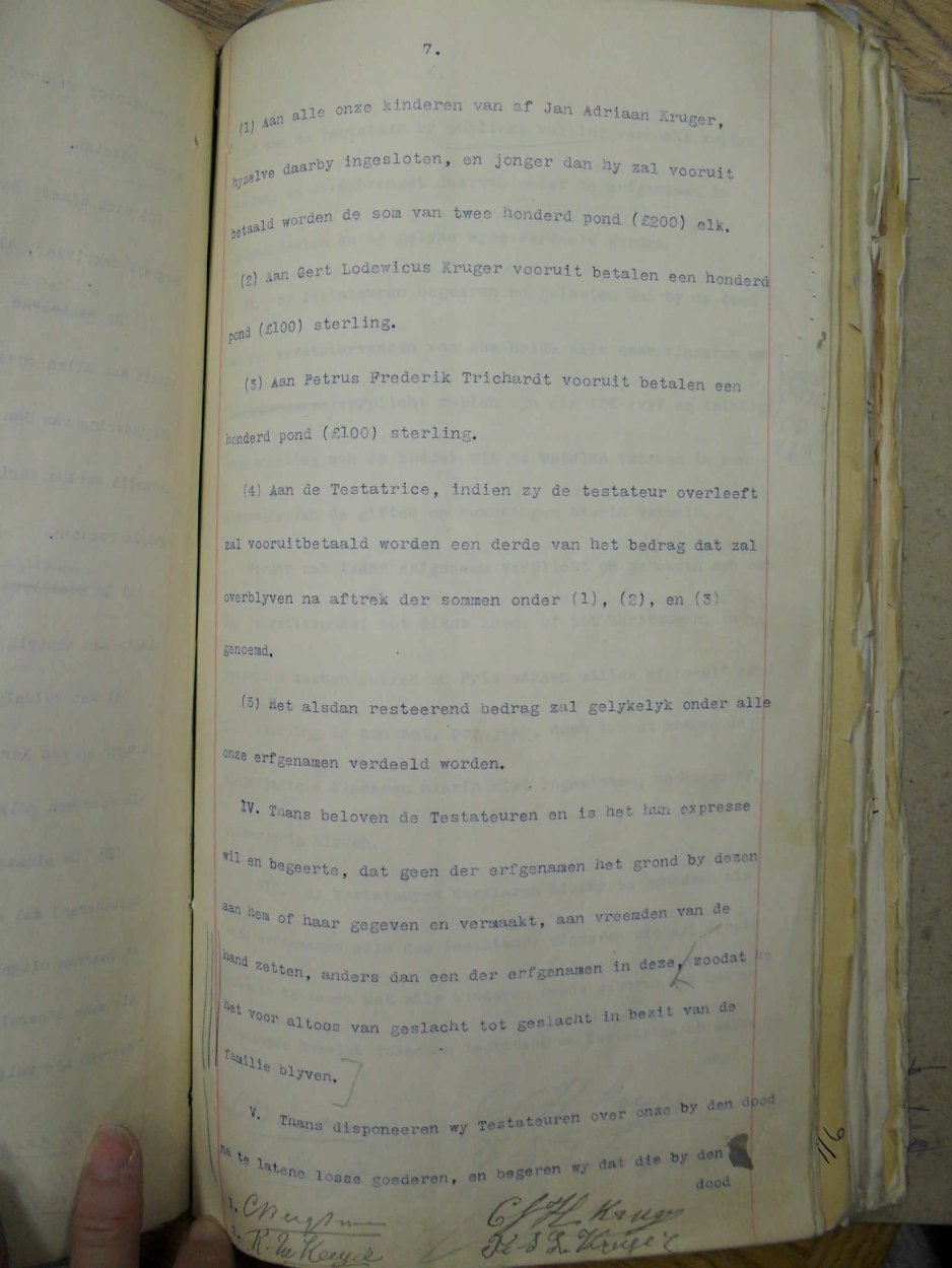 SDC10104 SDC10104