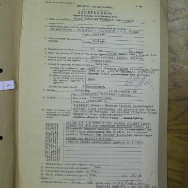 SDC14246