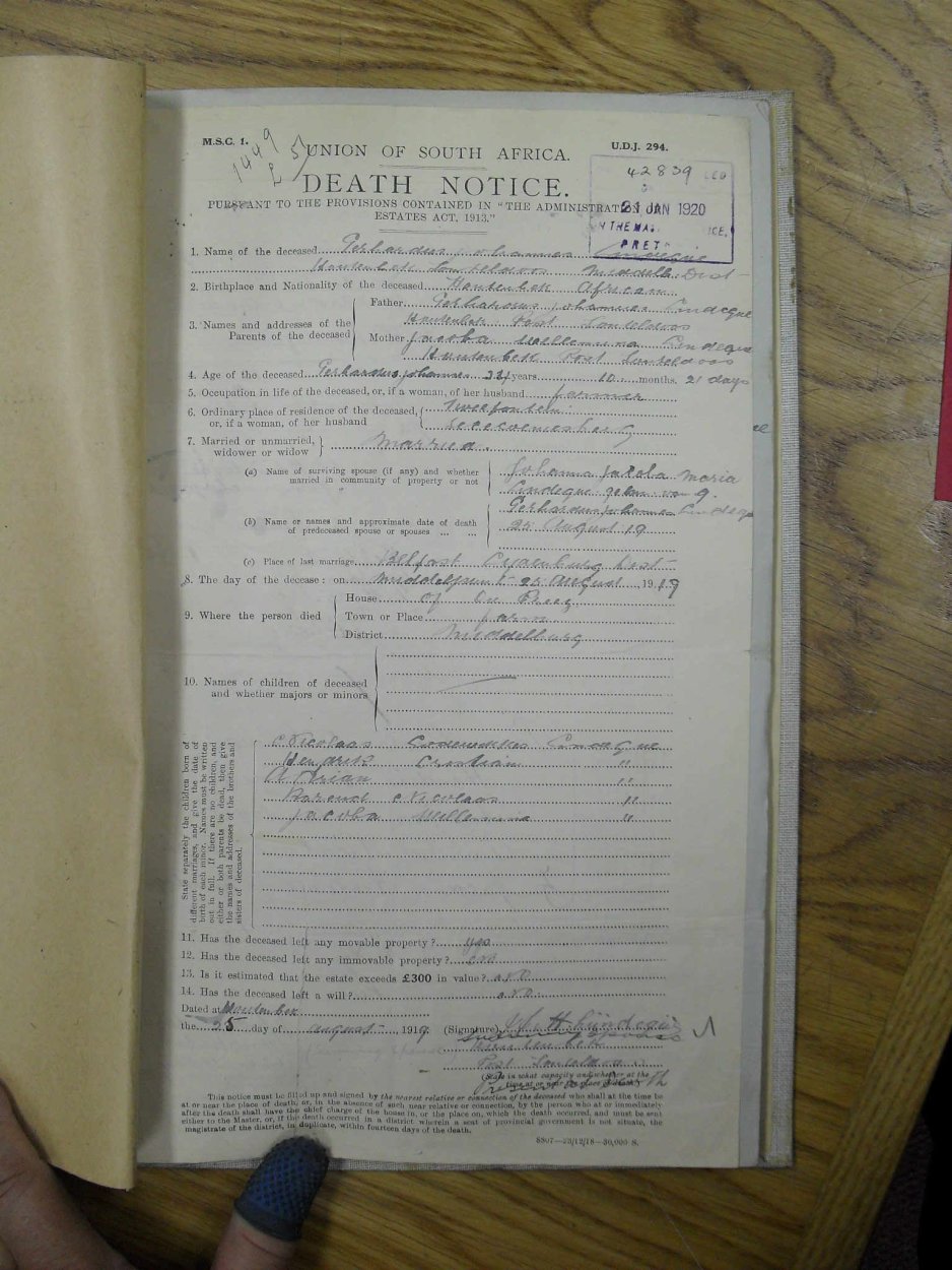 SDC10287 SDC10287