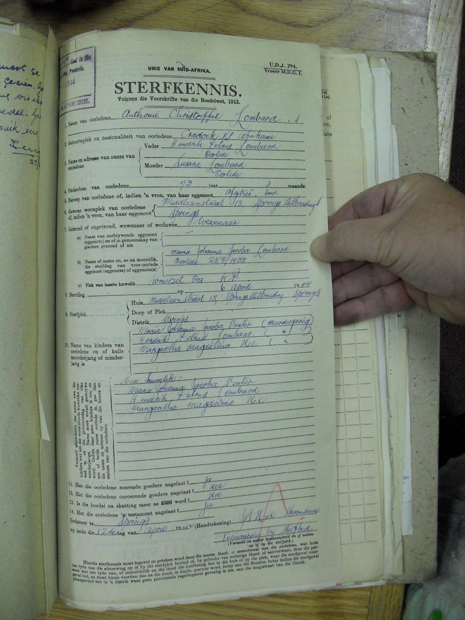 SDC10884 SDC10884