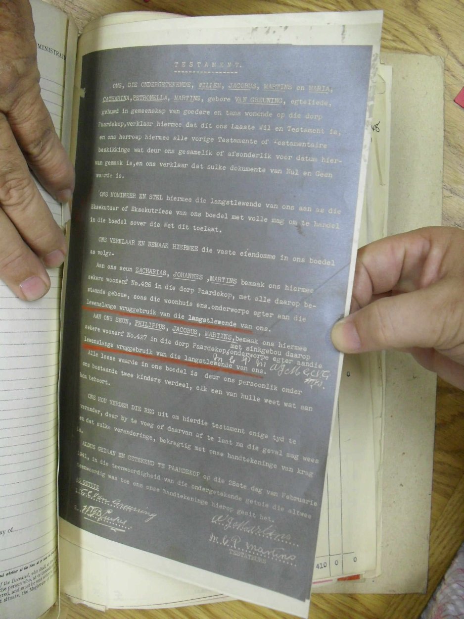 SDC10369 SDC10369