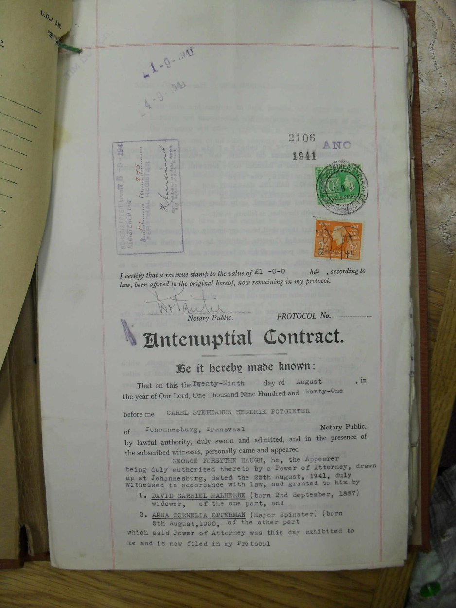 SDC12124 SDC12124