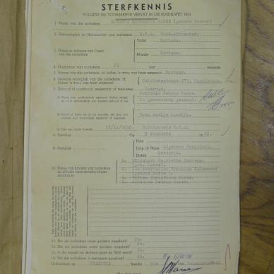 SDC10381