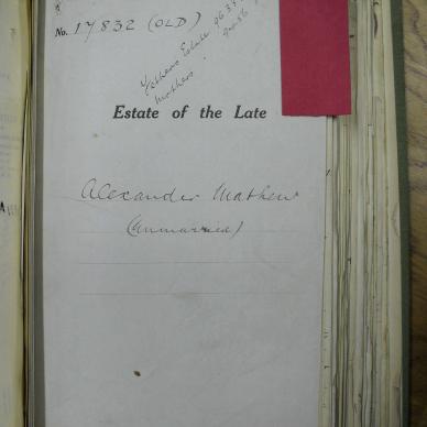 SDC11449