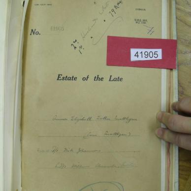 SDC10238