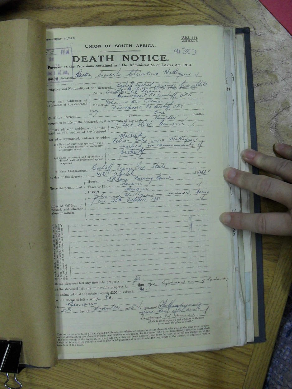 SDC17731 SDC17731