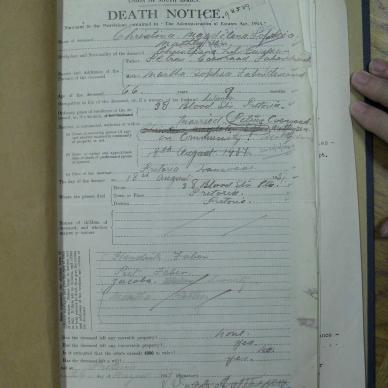 SDC10272