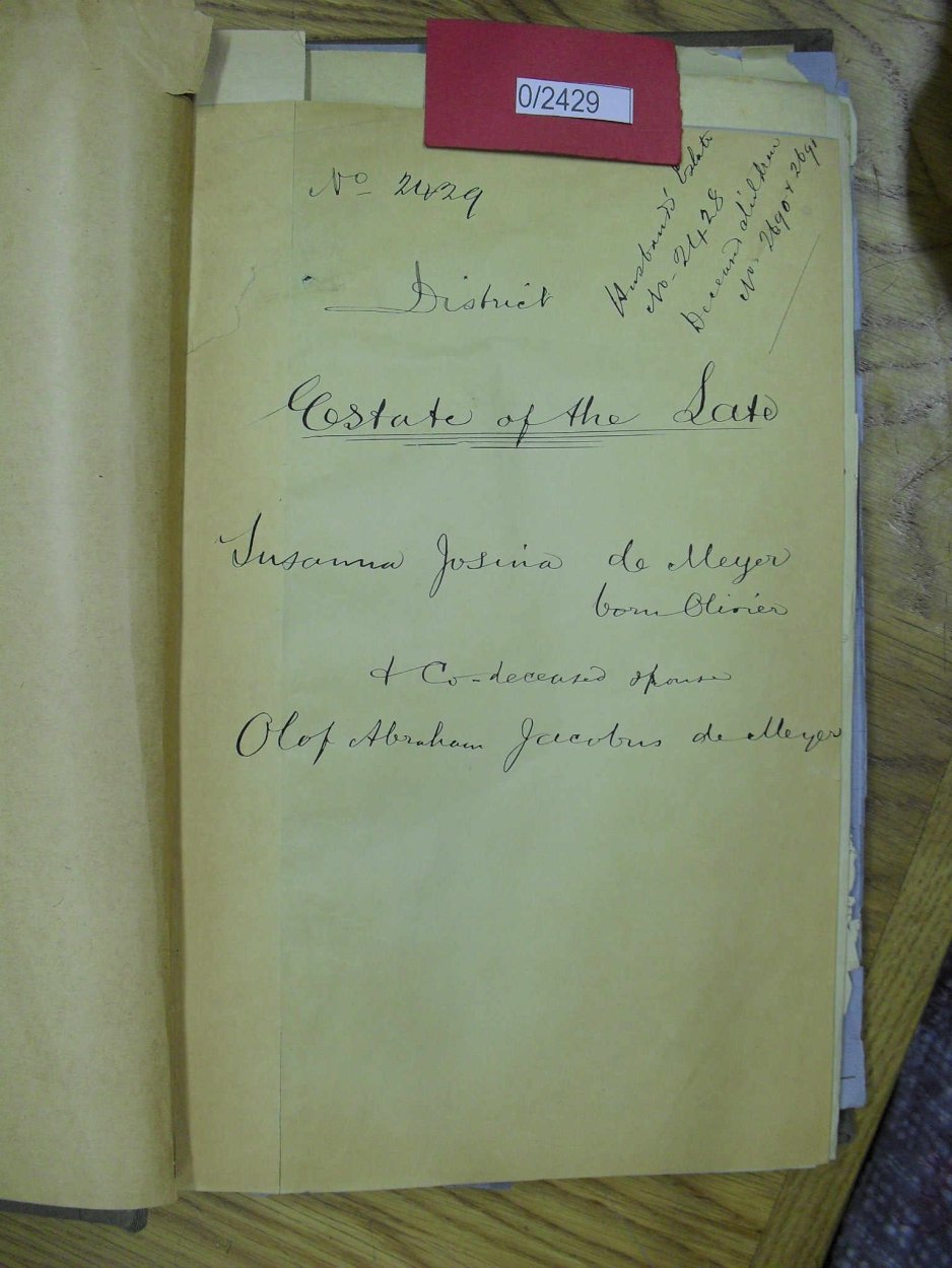 SDC10251 SDC10251