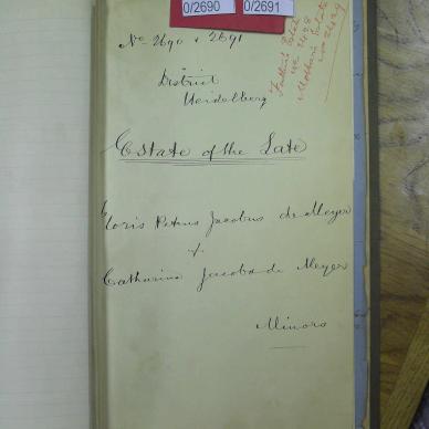 MEYER Floris Petrus Jacobus DE and MEYER Catharina Jacoba DE - died 11 Nov 1883