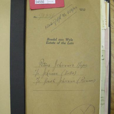 SDC10355
