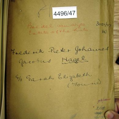 4496-47 NAGEL Frederik Pieter Johannes Jacobus _01