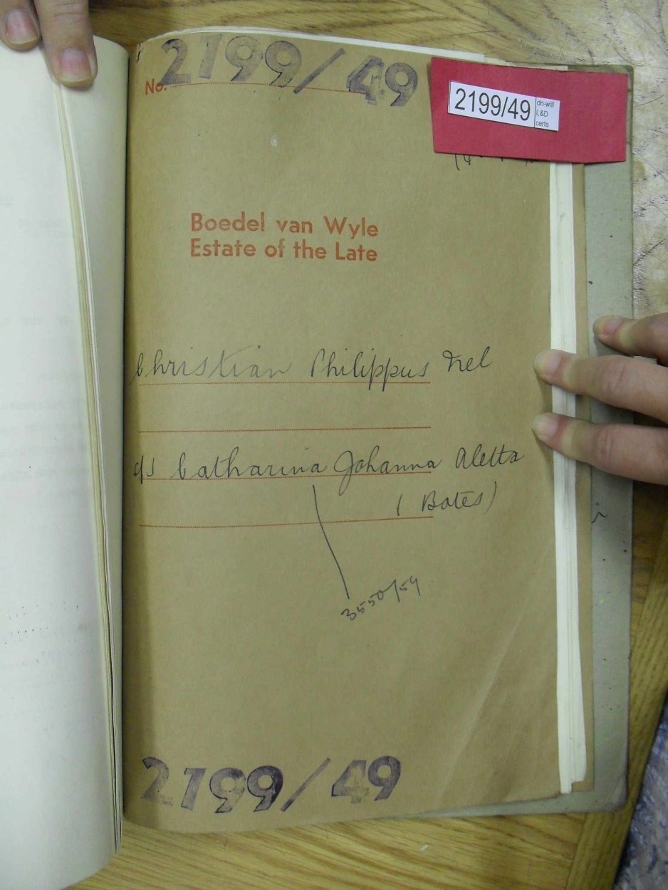 SDC17597 SDC17597