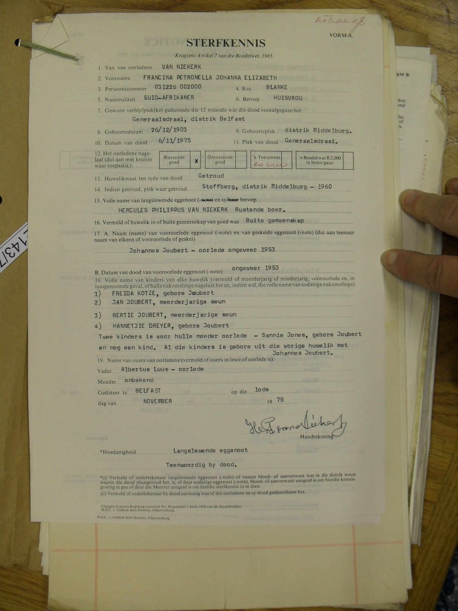 SDC10353 SDC10353