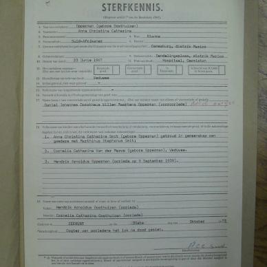 SDC15423