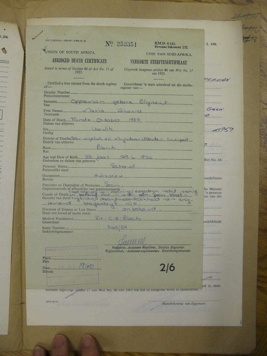 SDC15416 SDC15416