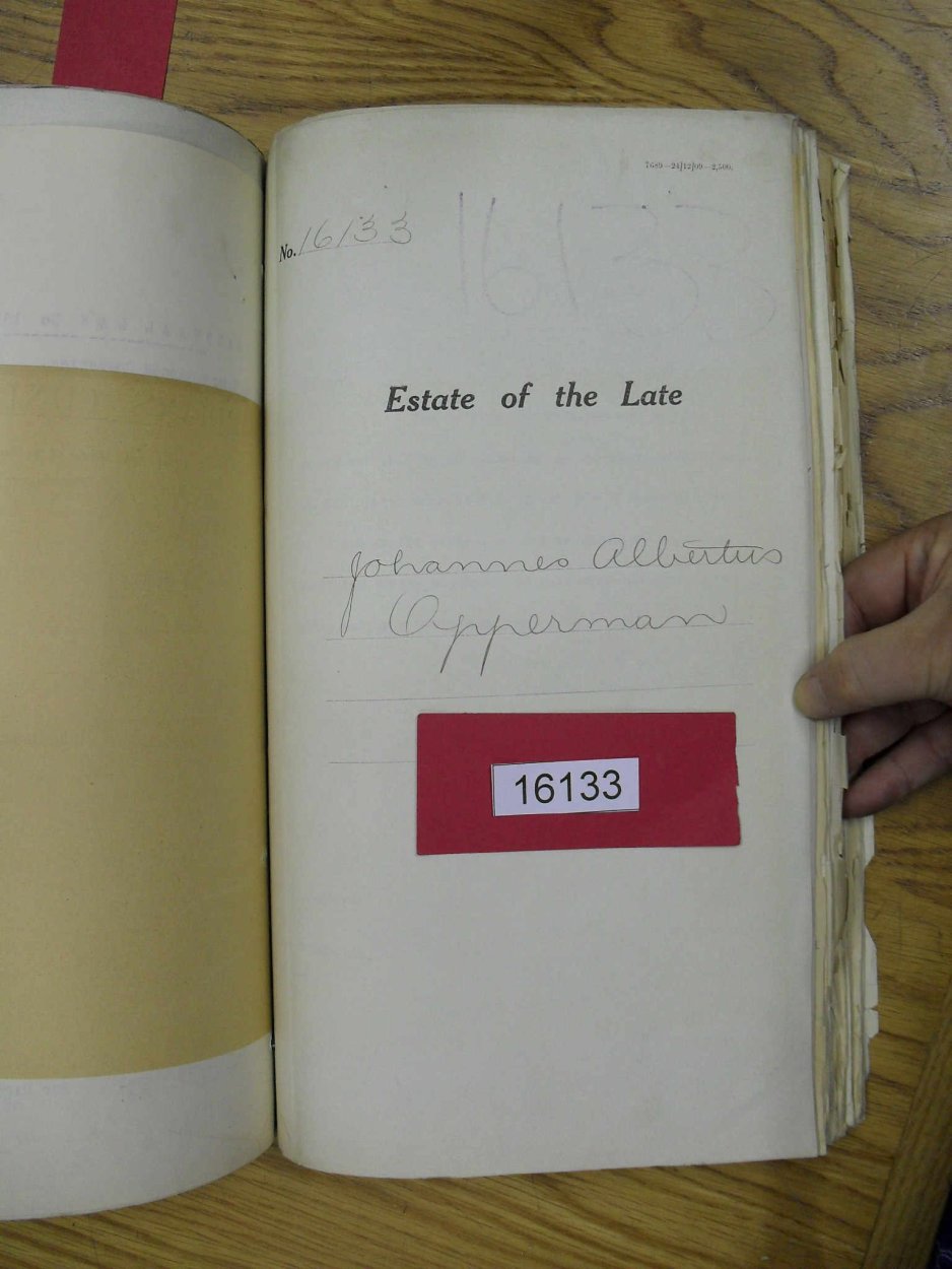 SDC10724 SDC10724