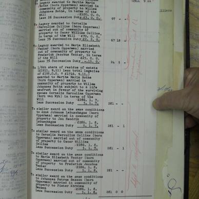 SDC11733
