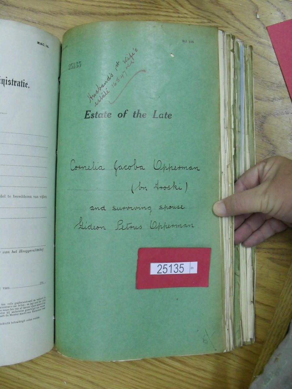 SDC10330 SDC10330