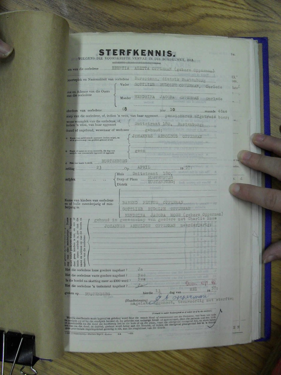 SDC13226 SDC13226