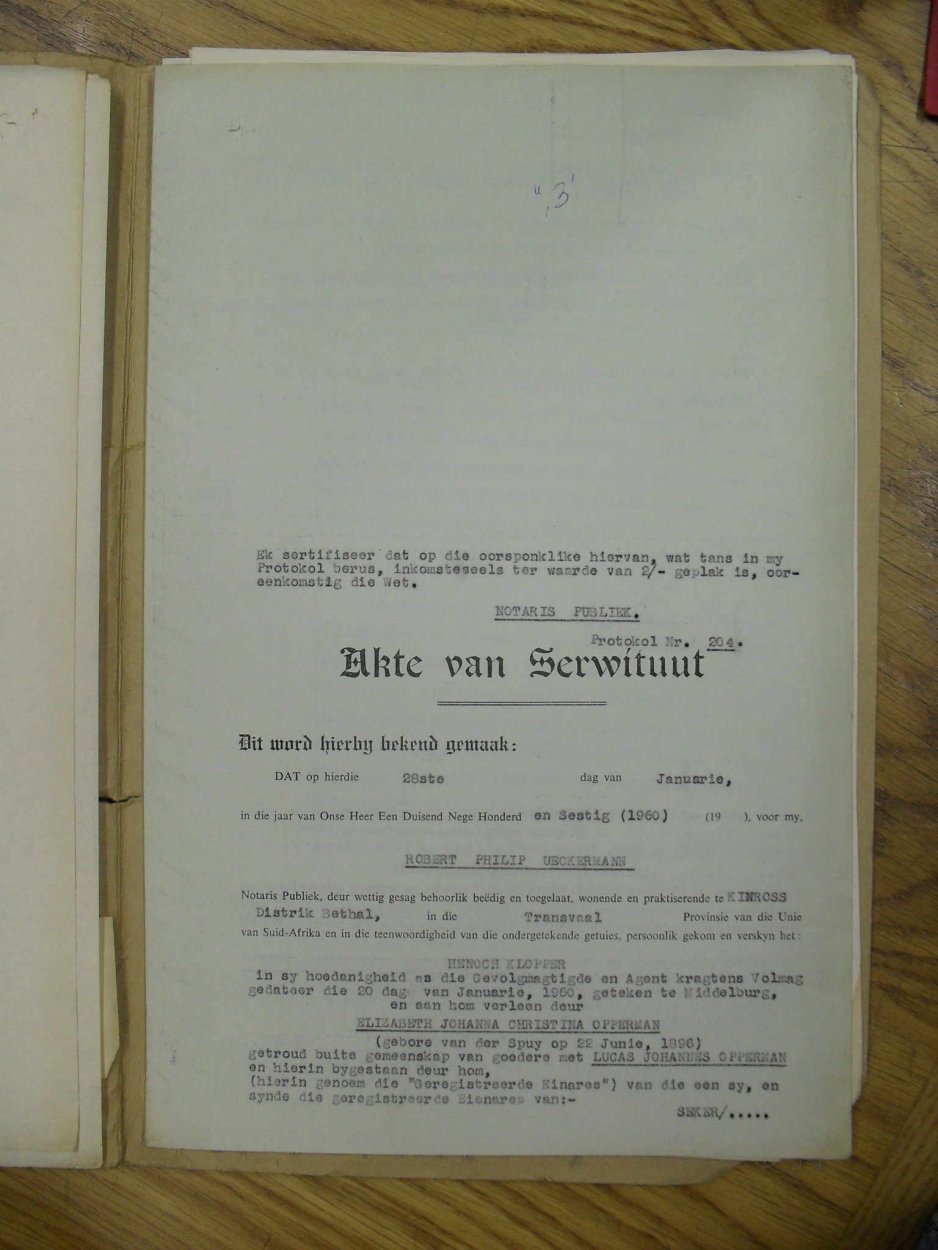 SDC13482 SDC13482