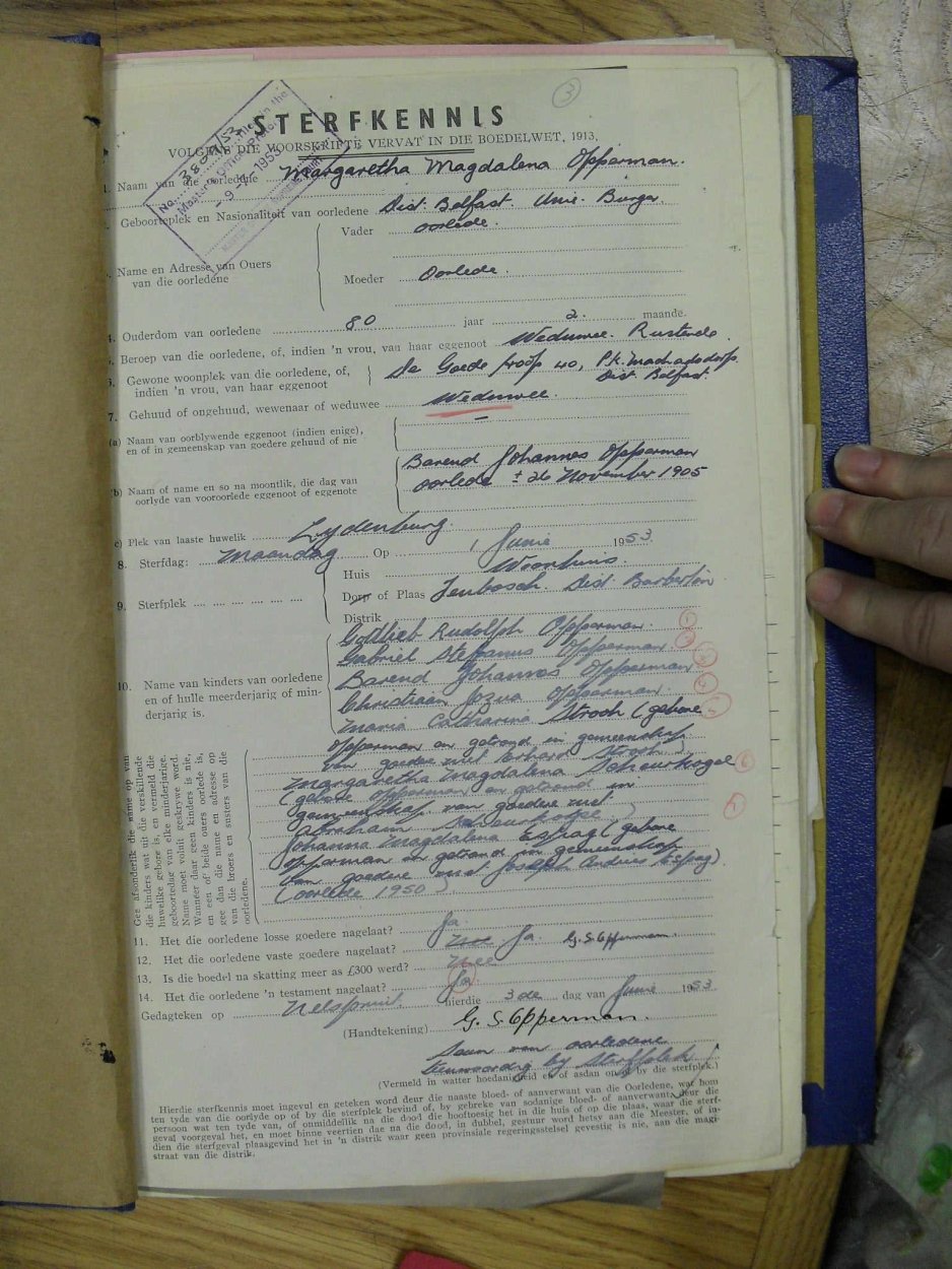 SDC12263