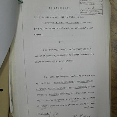 SDC15384