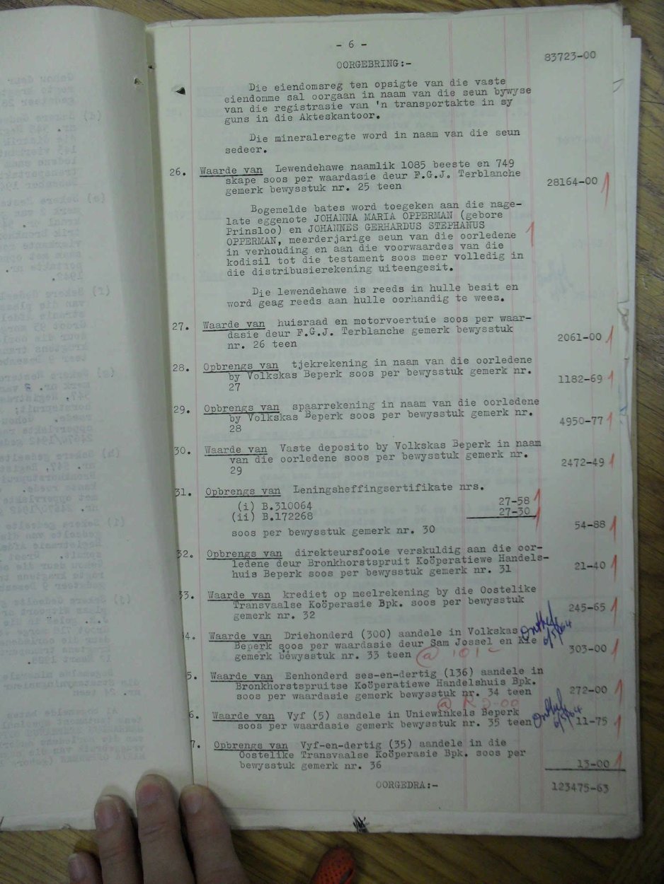 SDC13513 SDC13513