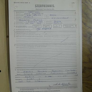 SDC15463