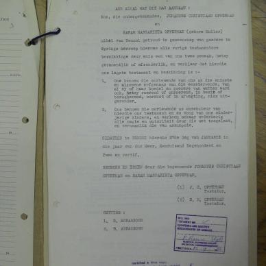 SDC12537