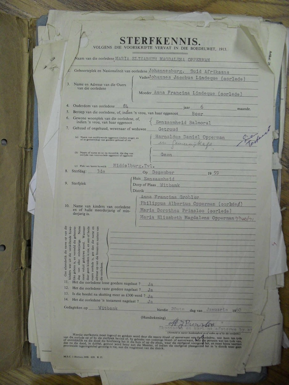 SDC12974 SDC12974