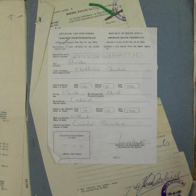 SDC12979