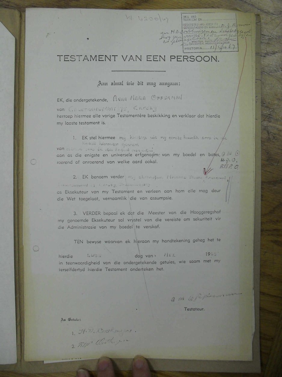 SDC14105 SDC14105