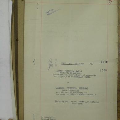 SDC13690