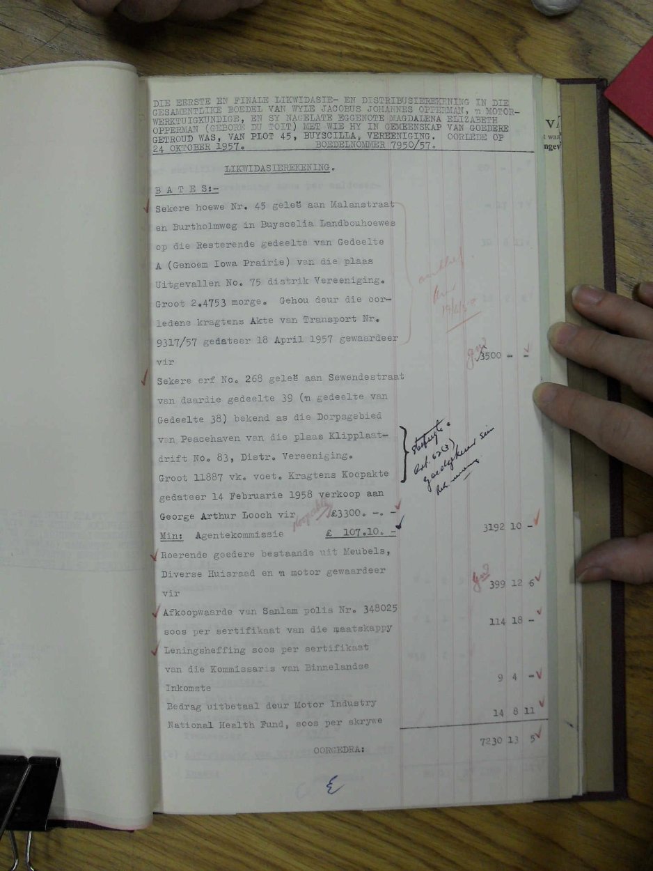 SDC12731 SDC12731