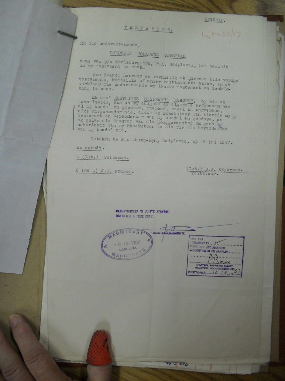 SDC12582 SDC12582