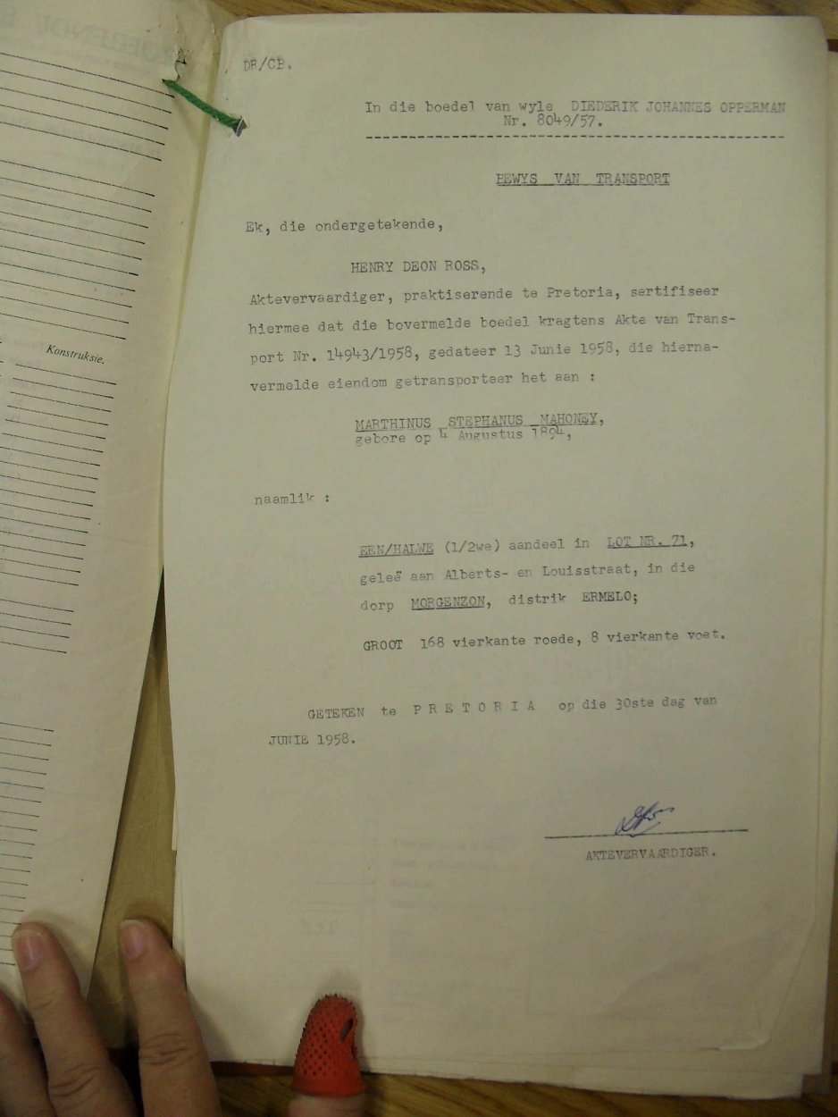 SDC12585 SDC12585