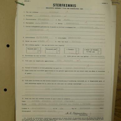 SDC15531