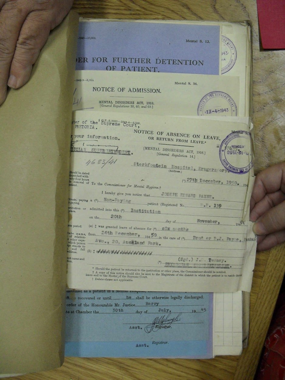 SDC10355 SDC10355