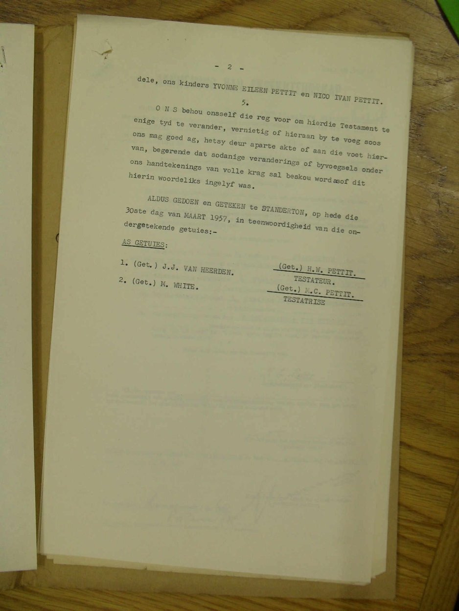 SDC11002 SDC11002