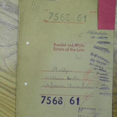 SDC11941