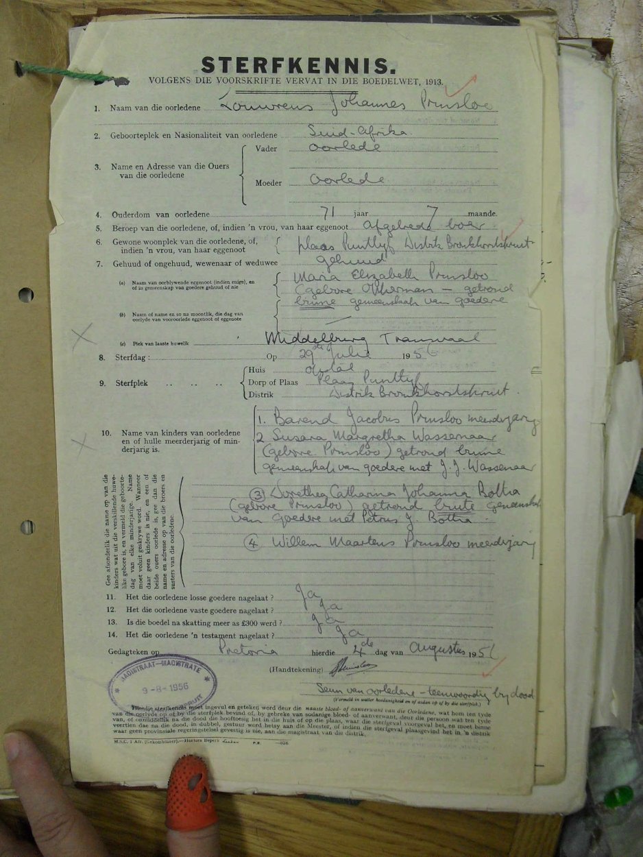 SDC12136 SDC12136