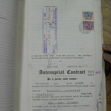 SDC12597